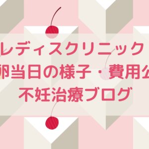 加藤レディスクリニック・klcの採卵当日の様子・費用公開！不妊治療ブログ