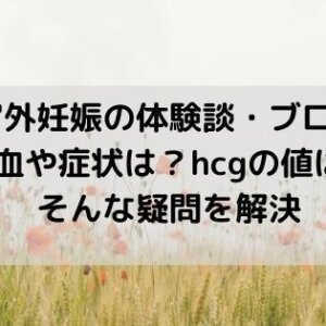 子宮外妊娠の体験談・ブログ！出血や症状は？hcgの値は？そんな疑問を解決