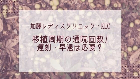 加藤レディスクリニック・klc移植周期の通院回数は？遅刻・早退は必要？