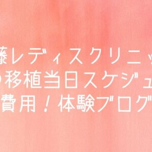 加藤レディスクリニック・klcの移植当日スケジュール・費用！体験ブログ