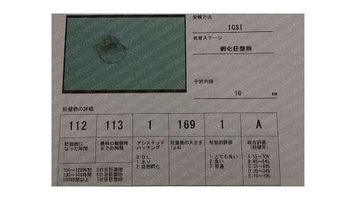 ゴナールエフ75を用いた治療の胚盤胞グレード